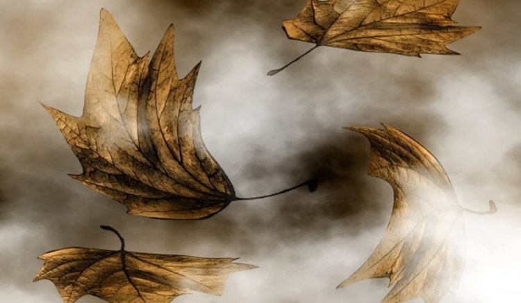 Силен вятър ще ни брули днес, но няма да вали  