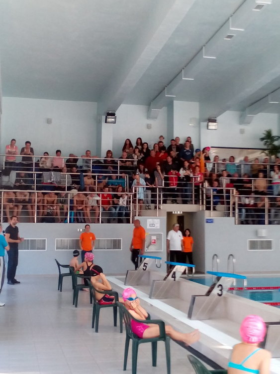 Над 80 деца участваха в ученическия турнир по плуване в новия басейн на Смолян