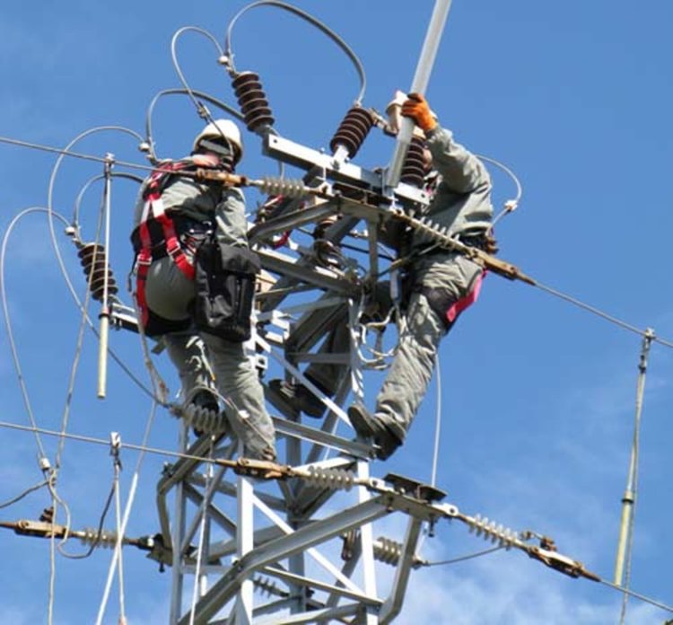 ЕK даде добра оценка на EVN по проекта за опазване на царския орел 