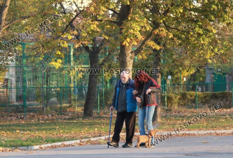 Кошчета за кучешки отпадъци поставиха на различни места в Димитровград