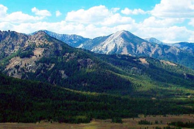 Инциденти с туристи в планината