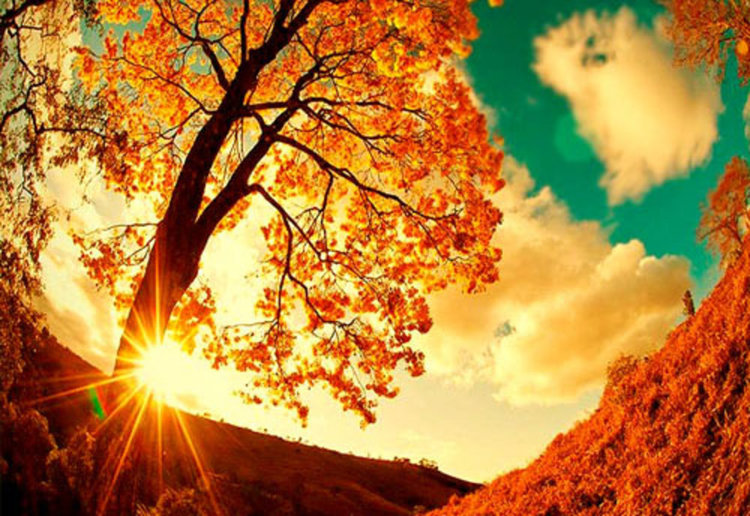 Сутринта хладно, след това – слънчево и до 18°