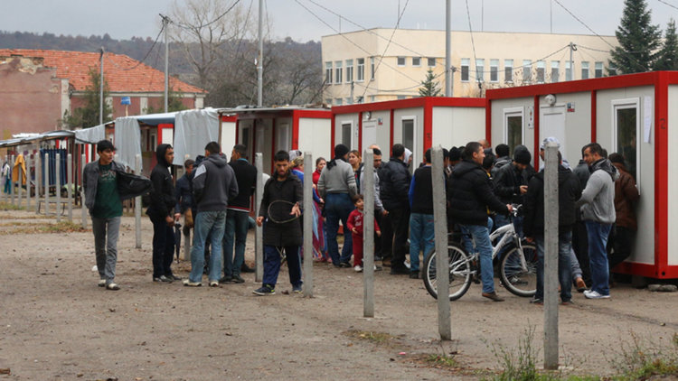 Искат от министъра спешна проверка за краста в лагера в Харманли