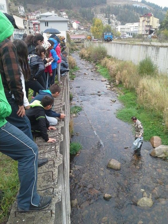 Вече 2 хиляди пъстърви плуват в река Чепеларска