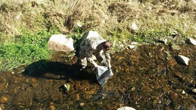 Вече 2 хиляди пъстърви плуват в река Чепеларска