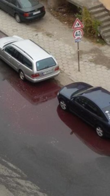 Деца газят кървава река в Кърджали,според закона виновни няма