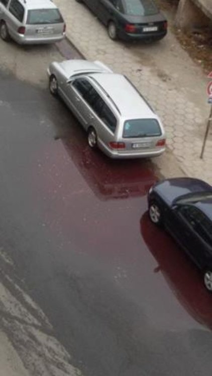 Деца газят кървава река в Кърджали,според закона виновни няма