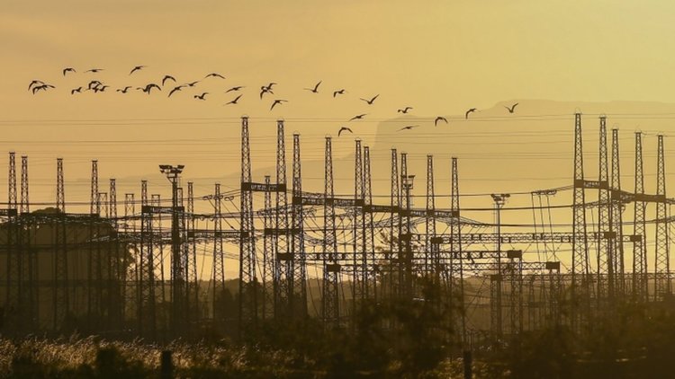 Русия и Япония правят ветро парк