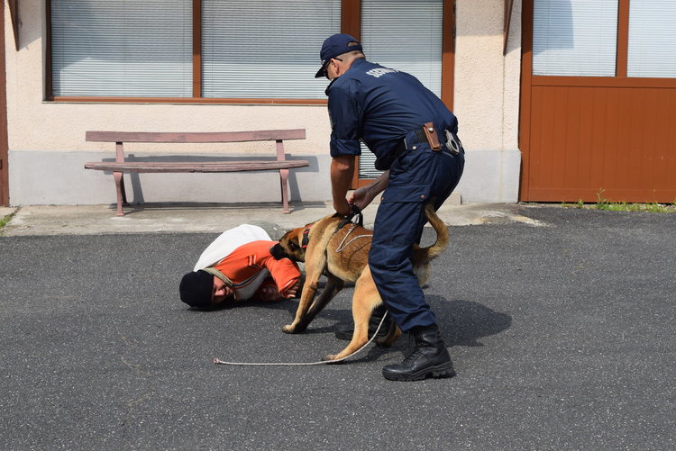 МВР в Кърджали отчита спад в кражбите,разкрити са и двете умишлени убийства през годината