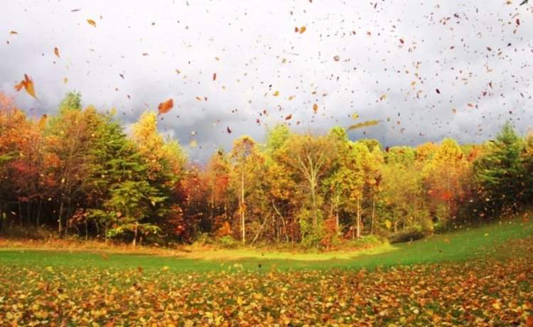 Бурен вятър в цялата страна, на Запад се очаква проливен дъжд