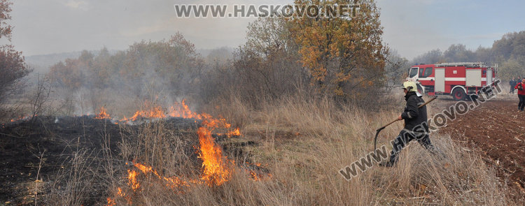 Три екипа огнеборци гасят гора край Добрич