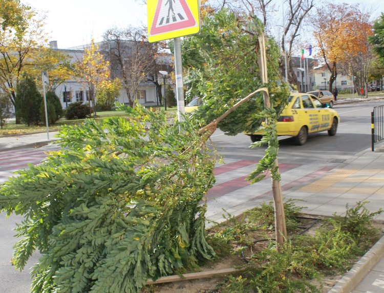 Опасни ламарини надвиснаха от покрива на Спортната зала в Димитровград