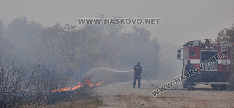 Три екипа огнеборци гасят гора край Добрич