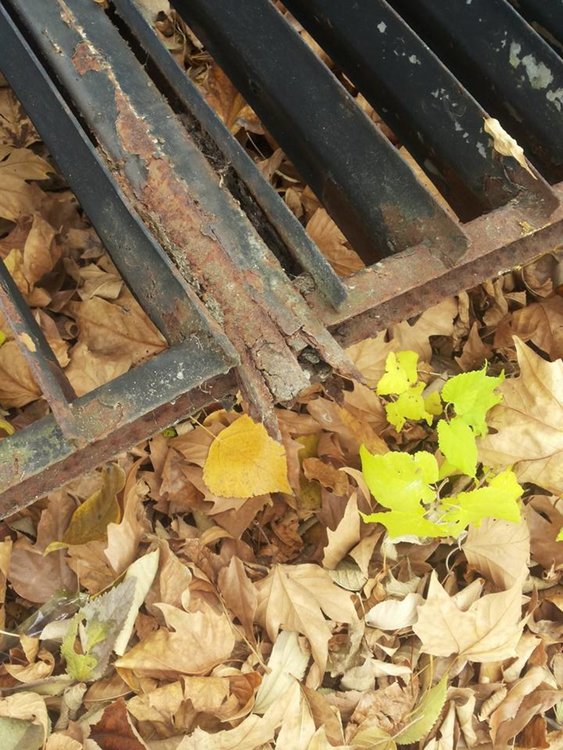 Падна оградата на Професионалната гимназия в Димитровград