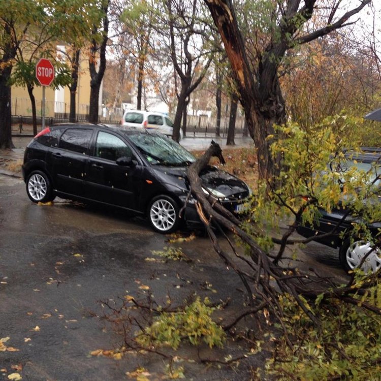 Клон премаза кола до "паисий"