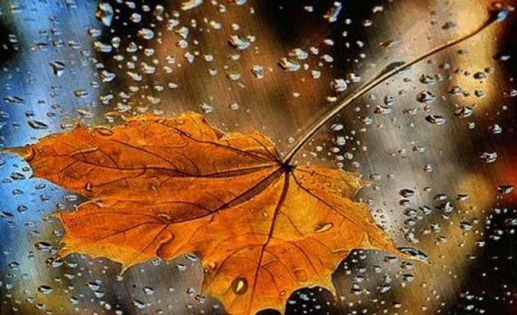 Облачен и дъждовен четвъртък, вятърът ще отслабва