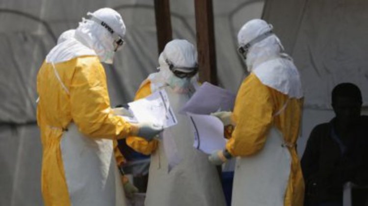 Опасен щам на птичия грип е открит в Европа