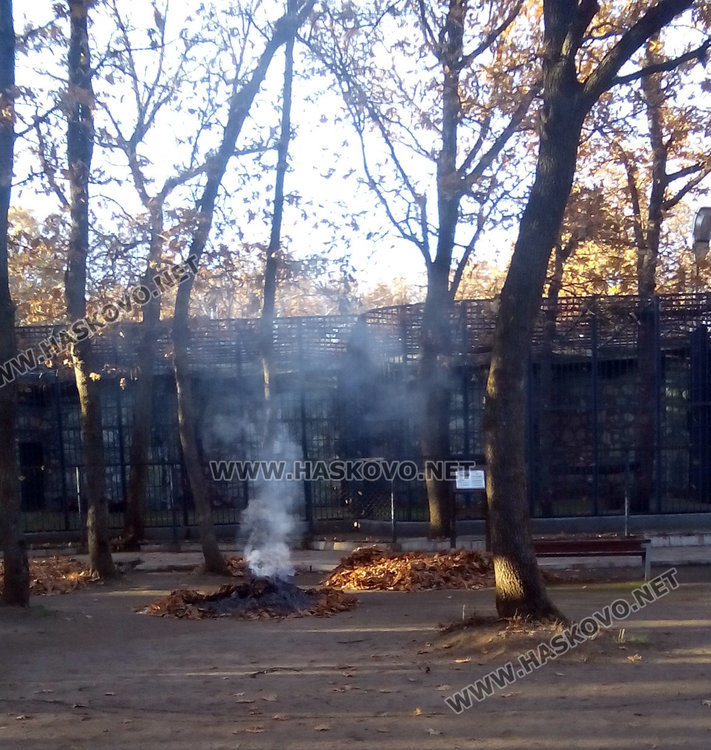 Читател: Обгазяват животните в зоопарка с клади от листа