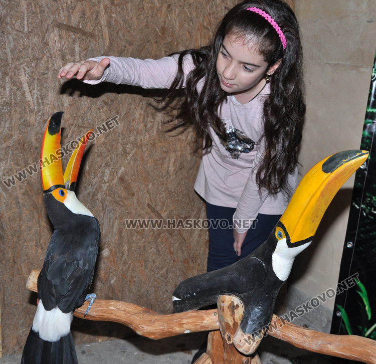 Показват най-голямата изложба на папагали от 4 континента