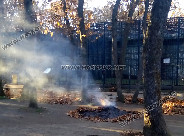 Наказват работника, обгазил животните в зоопарка с клади от листа