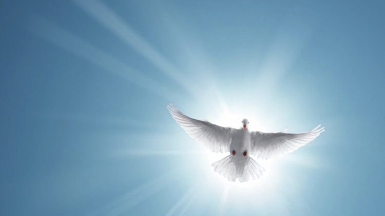 Отбелязваме Международния ден на толерантността