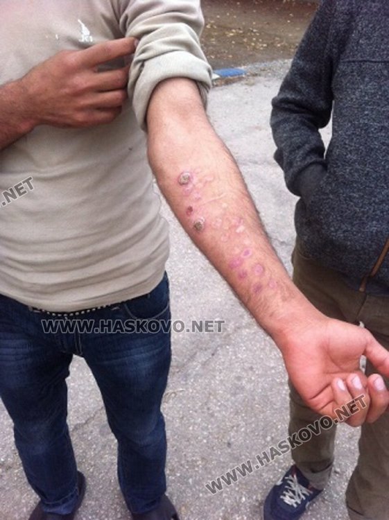 Снимките са направени от екипа, изпратен от Мая Манолова в лагера в Харманил