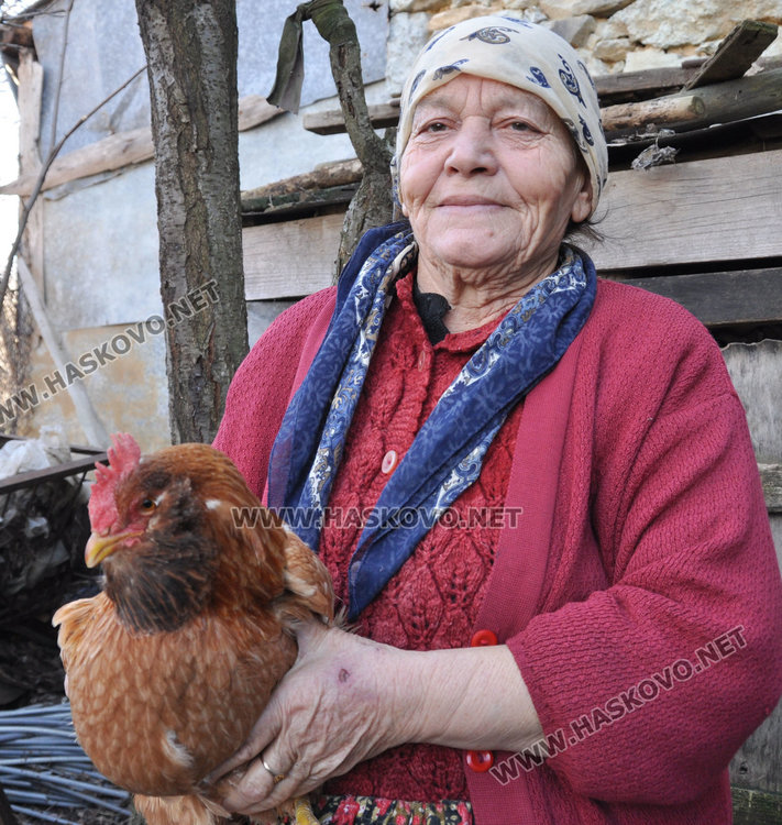  Затварят пернатите в дворовете заради опасност от птичи грип