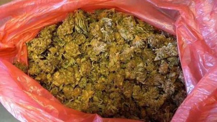 Полицейска дъщеря хваната в Турция с 3 кг дрога