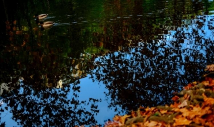 Словения: Водата е право, а не пазарна стока