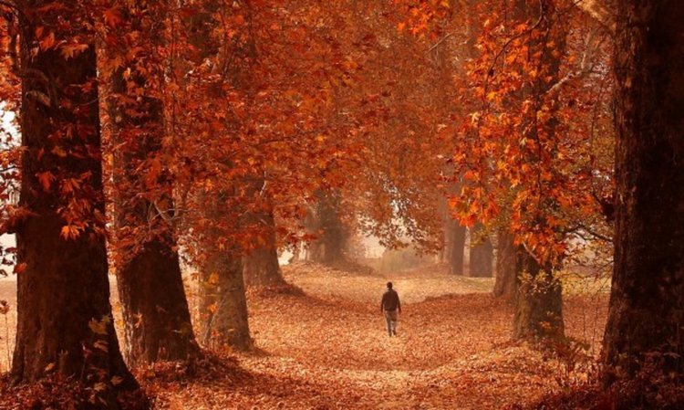 Неделята – облачна и мъглива