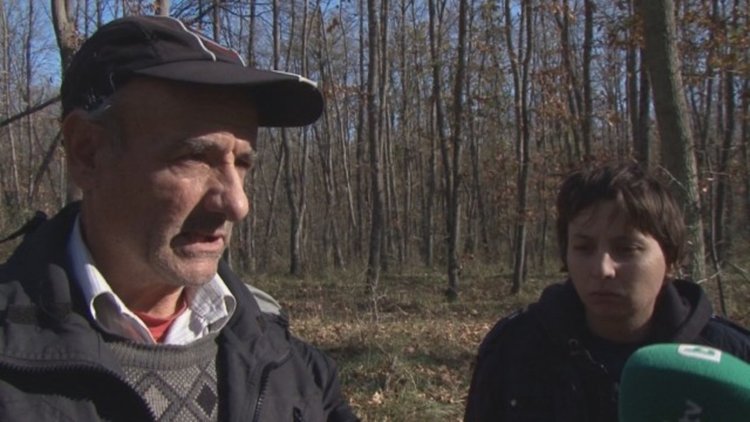 Момиче, отровено с гъби в Приморско, оцеля като по чудо