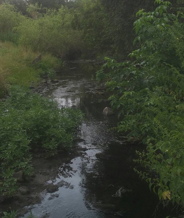 Снимка: Фейсбук