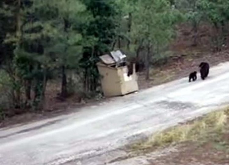 фото:интернет