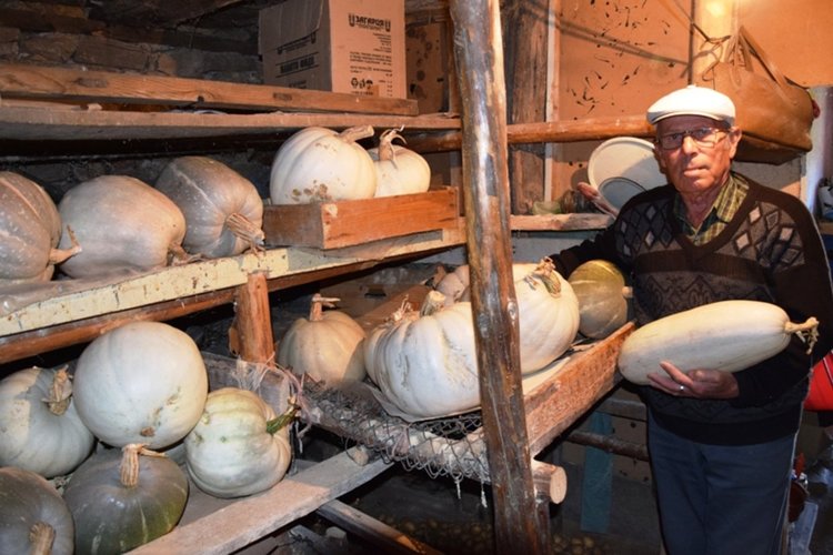 Бай Касим от Гърбище:И тиквите искат любов