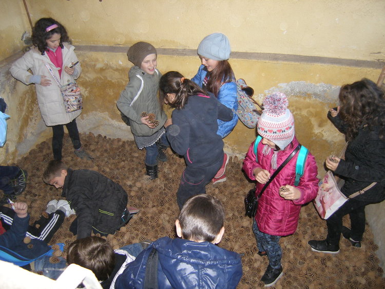 Южноцентралното държавно предприятие обучава деца и младежи по нов образователен модул