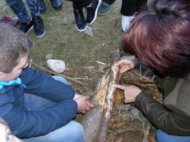 Южноцентралното държавно предприятие обучава деца и младежи по нов образователен модул