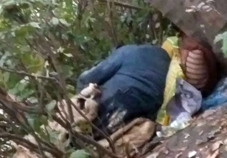 Студът не плаши бездомникът