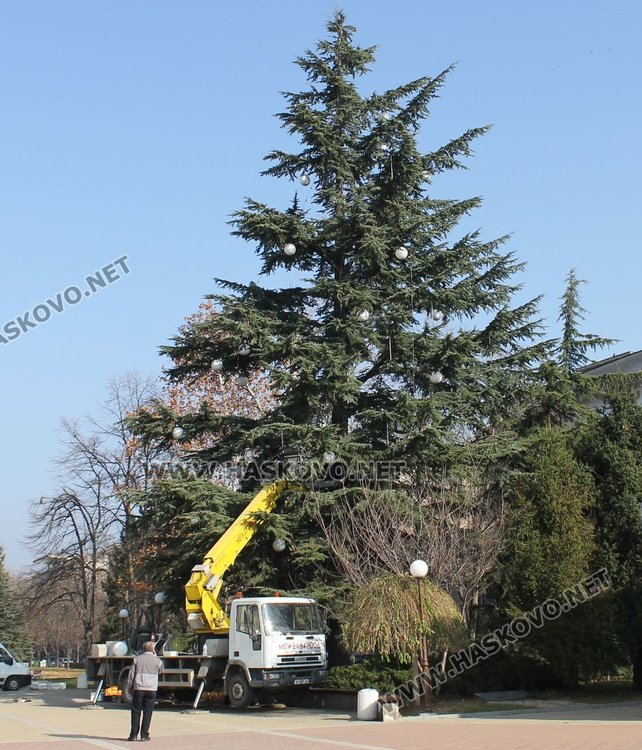 Днес бе извършена профилактика на светлините на Коледното дърво пред Общината