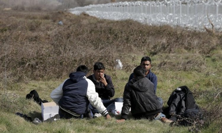 Само 1,4% от мигрантите у нас работят на трудов договор