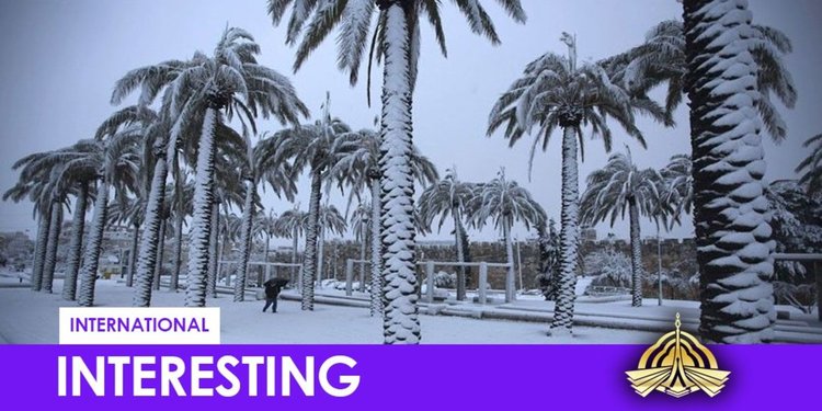 Необичайно: сняг покри пустинята в Саудитска Арабия
