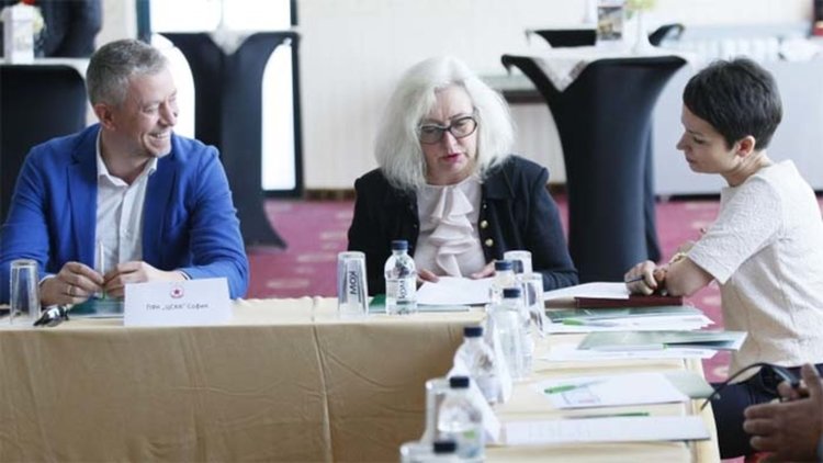 Дора Милева: Търгът за емблемата на ЦСКА ще е след Нова година