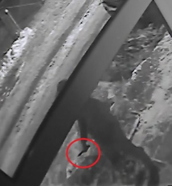 Коли под ножа – 16 с нарязани гуми в "Манастирски ливади"