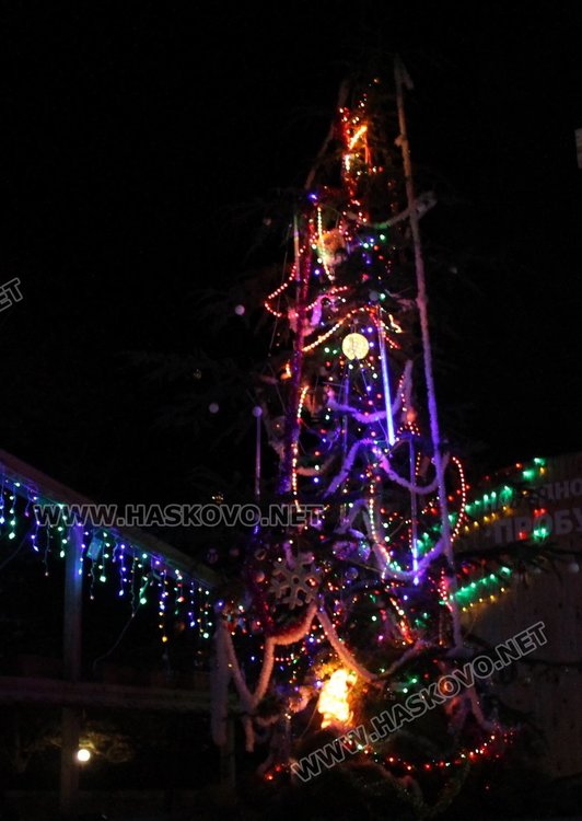 7-метрово коледно дърво грейна в центъра на село Добрич
