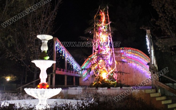 7-метрово коледно дърво грейна в центъра на село Добрич