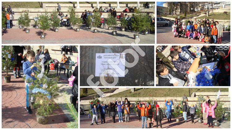 Стартира кампанията"Купи жива елха,помогни на дете",горското осигури близо 3 хиляди "дръвчета в саксия"