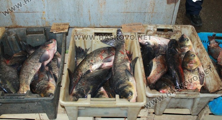 Цените на рибата за Никулден без промяна в Димитровград