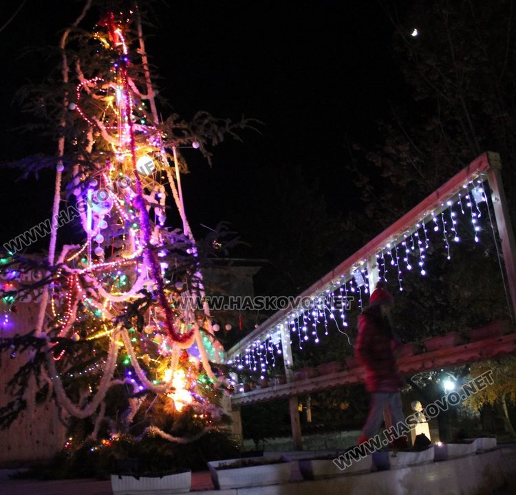 7-метрова жива елха грейна в празнична украса в центъра на димитровградското село Добрич