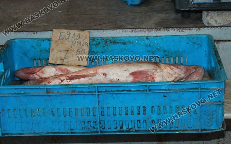 Цените на рибата за Никулден без промяна в Димитровград
