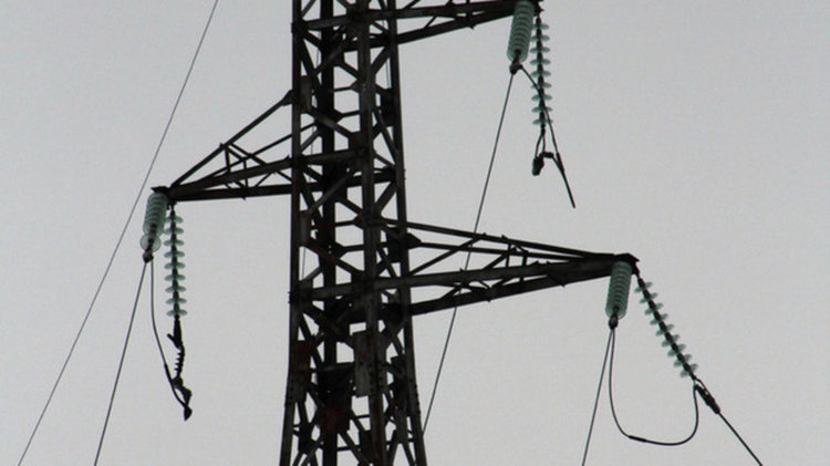 Неизвестен сече чуждо дърво,къса проводници на ЕВН край Серафимово