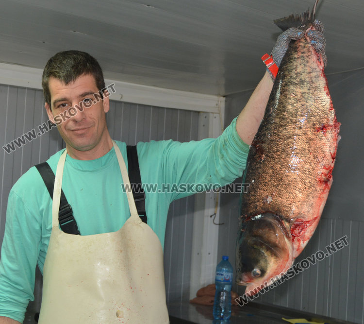 Именникът Николай Димитров работи здраво и на празника